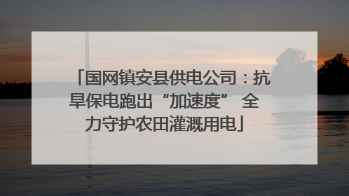 国网镇安县供电公司：抗旱保电跑出“加速度” 全力守护农田灌溉用电