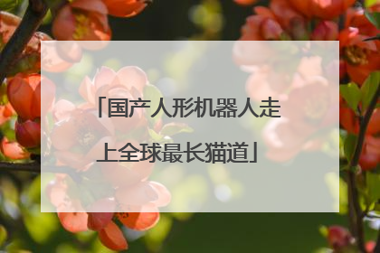 国产人形机器人走上全球最长猫道