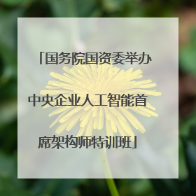 国务院国资委举办中央企业人工智能首席架构师特训班
