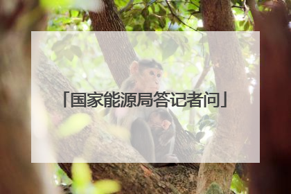 国家能源局答记者问