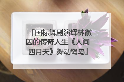 国标舞剧演绎林徽因的传奇人生《人间四月天》舞动鹭岛
