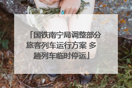 国铁南宁局调整部分旅客列车运行方案 多趟列车临时停运