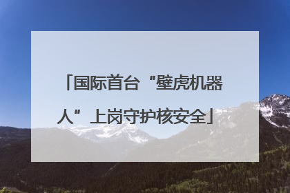 国际首台“壁虎机器人”上岗守护核安全