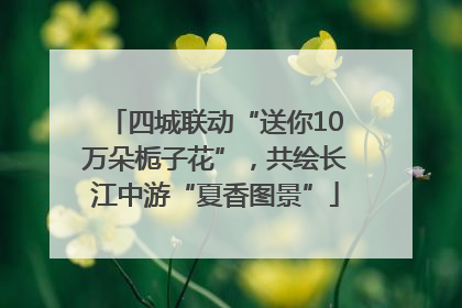四城联动“送你10万朵栀子花”，共绘长江中游“夏香图景”