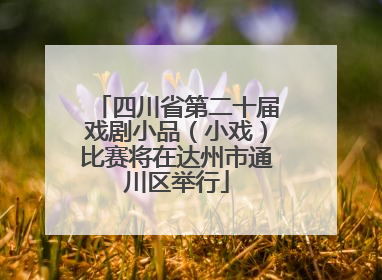 四川省第二十届戏剧小品（小戏）比赛将在达州市通川区举行