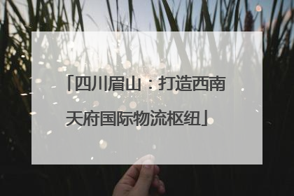 四川眉山：打造西南天府国际物流枢纽
