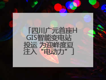 四川广元首座HGIS智能变电站投运 为迎峰度夏注入“电动力”