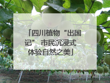 四川植物“出国记” 市民沉浸式体验自然之美