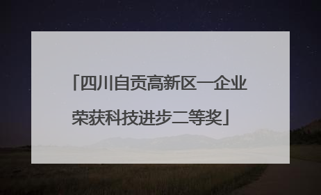 四川自贡高新区一企业荣获科技进步二等奖