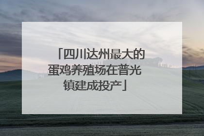 四川达州最大的蛋鸡养殖场在普光镇建成投产