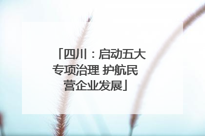四川：启动五大专项治理 护航民营企业发展