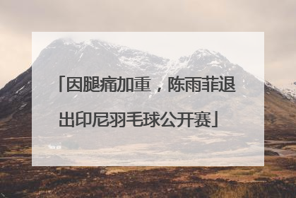 因腿痛加重，陈雨菲退出印尼羽毛球公开赛