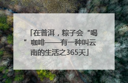 在普洱，粽子会“喝”咖啡——有一种叫云南的生活之365天