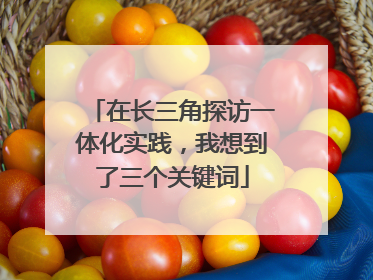 在长三角探访一体化实践，我想到了三个关键词