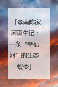 孝南陈家河重生记：一条“幸福河”的生态蝶变