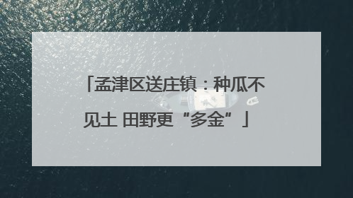 孟津区送庄镇：种瓜不见土 田野更“多金”