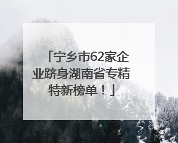 宁乡市62家企业跻身湖南省专精特新榜单！