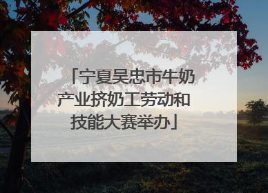 宁夏吴忠市牛奶产业挤奶工劳动和技能大赛举办