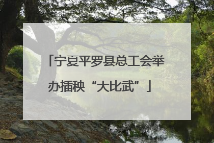 宁夏平罗县总工会举办插秧“大比武”