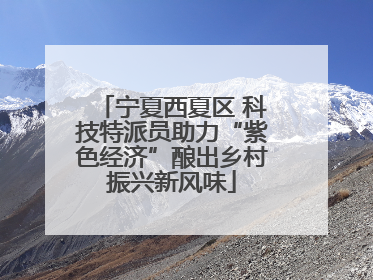 宁夏西夏区 科技特派员助力“紫色经济”酿出乡村振兴新风味