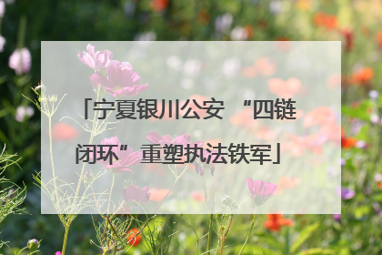 宁夏银川公安 “四链闭环”重塑执法铁军