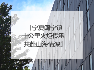 宁夏闽宁镇 十公里火炬传承共赴山海情深
