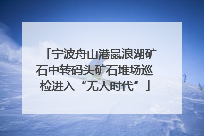 宁波舟山港鼠浪湖矿石中转码头矿石堆场巡检进入“无人时代”