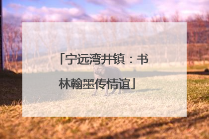 宁远湾井镇：书林翰墨传情谊