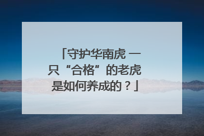 守护华南虎 一只“合格”的老虎是如何养成的？