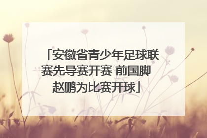 安徽省青少年足球联赛先导赛开赛 前国脚赵鹏为比赛开球