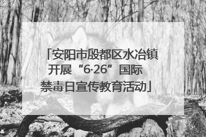 安阳市殷都区水冶镇开展“6·26”国际禁毒日宣传教育活动