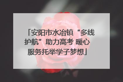 安阳市水冶镇“多线护航”助力高考 暖心服务托举学子梦想