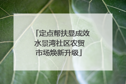 定点帮扶显成效 水景湾社区农贸市场焕新升级