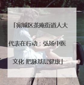 宛城区茶庵街道人大代表在行动：弘扬中医文化 把脉基层健康