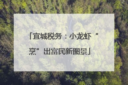 宜城税务：小龙虾“烹”出富民新图景