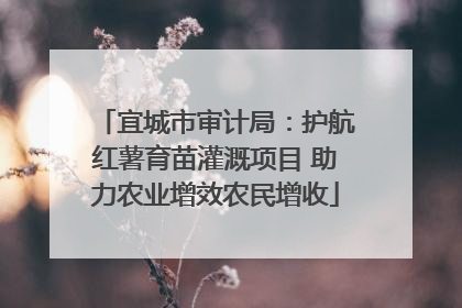 宜城市审计局：护航红薯育苗灌溉项目 助力农业增效农民增收
