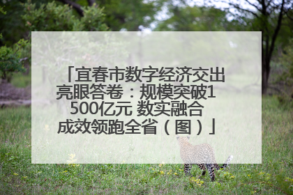 宜春市数字经济交出亮眼答卷：规模突破1500亿元 数实融合成效领跑全省（图）