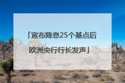 宣布降息25个基点后 欧洲央行行长发声