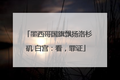 墨西哥国旗飘扬洛杉矶 白宫：看，罪证