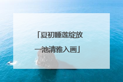夏初睡莲绽放 一池清雅入画