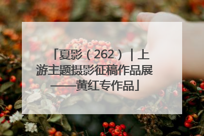 夏影（262）｜上游主题摄影征稿作品展——黄红专作品