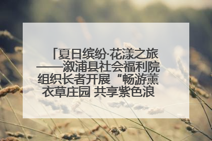 夏日缤纷·花漾之旅——溆浦县社会福利院组织长者开展“畅游薰衣草庄园 共享紫色浪漫”户外活动