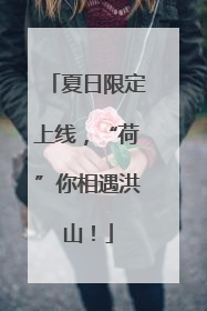 夏日限定上线，“荷”你相遇洪山！