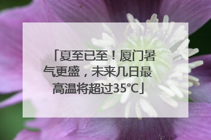 夏至已至！厦门暑气更盛，未来几日最高温将超过35℃