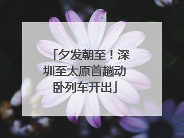 夕发朝至！深圳至太原首趟动卧列车开出