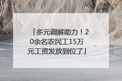 多元调解助力！20余名农民工15万元工资发放到位了