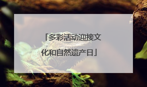 多彩活动迎接文化和自然遗产日