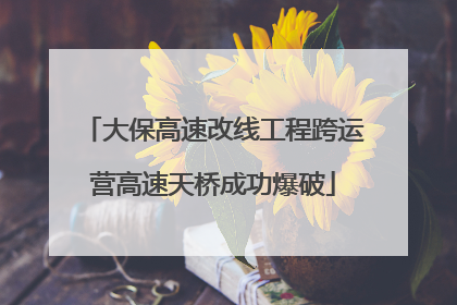 大保高速改线工程跨运营高速天桥成功爆破