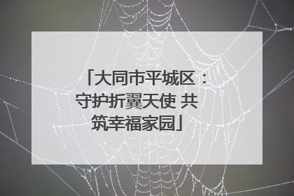 大同市平城区：守护折翼天使 共筑幸福家园
