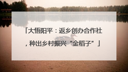大悟阳平：返乡创办合作社，种出乡村振兴“金稻子”